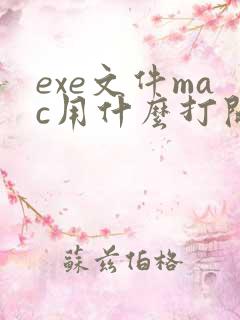 exe文件mac用什么打开