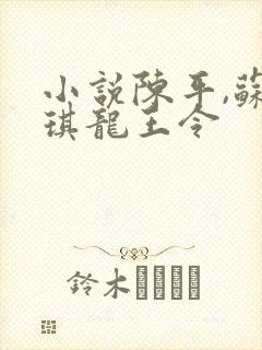 小说陈平,苏雨琪龙王令