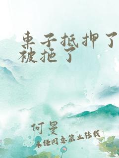 车子抵押了逾期被拖了