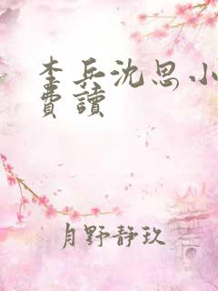 李兵沈思小说免费读