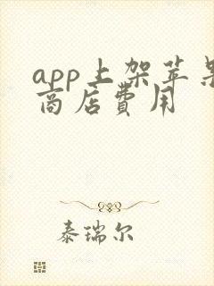 app上架苹果商店费用