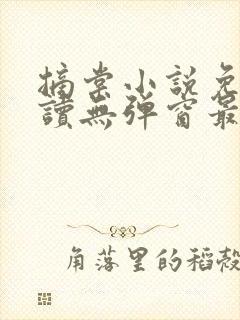 摘棠小说免费阅读无弹窗最新章节