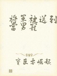 将军被送到敌国当男宠