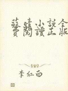 苏晴小说全文免费阅读正版无弹窗