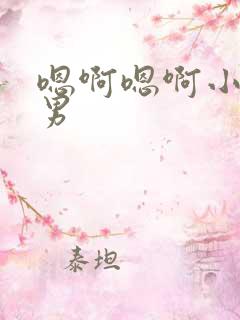 嗯啊嗯啊小说男男