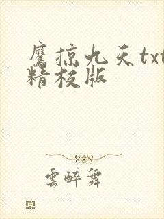 鹰掠九天txt精校版