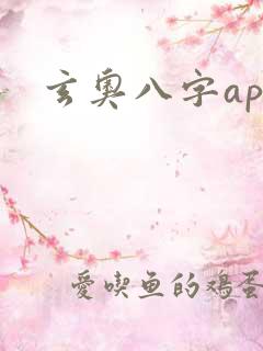 玄奥八字app
