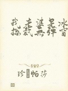 我老婆是冰山女总裁无弹窗免费