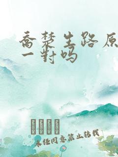 乔楚生路原著是一对吗