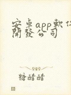 安卓app软件开发公司