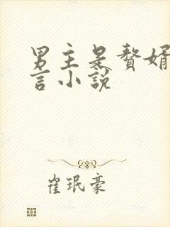 男主是赘婿的古言小说