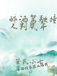 醉酒驾驶撞死2人判几年