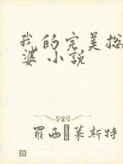 我的完美总裁老婆 小说 我的完美总裁老婆 小说