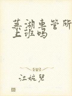 芜湖车管所周六上班吗