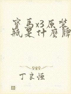 宝马x3原装电瓶是什么牌子的
