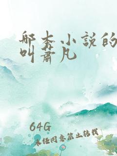 哪本小说的主角叫萧凡