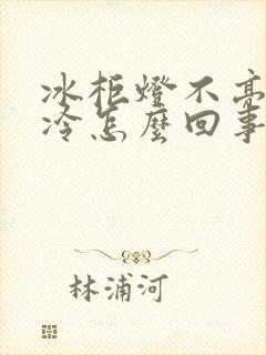 冰柜灯不亮不制冷怎么回事