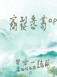 定制专业app开发公司