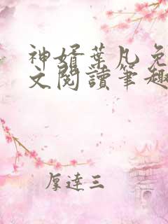 神婿叶凡免费全文阅读笔趣阁