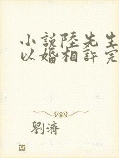 小说陆先生偏要以婚相许完整版