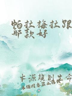 帕拉梅拉跟卡宴哪款好