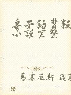 妻子的背叛犽一小说完整