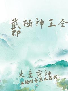 武极神王全部章节