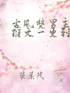 古风双男主小说推文一更到底