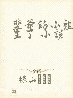 裴爷的小祖宗重生了 小说