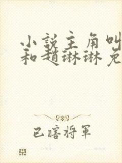 小说主角叫陈凡和赵琳琳免费阅读