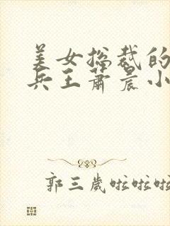 美女总裁的贴身兵王萧晨小说