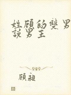 姓顾的双男主小说男主