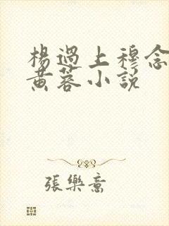 杨过上穆念慈和黄蓉小说