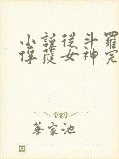 小说从斗罗开始俘获女神完整版