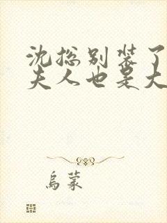 沈总别装了,你夫人也是大佬章节小说