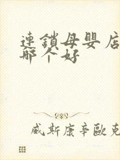 连锁母婴店品牌哪个好