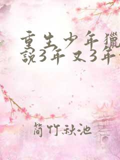 重生少年猎美小说3年又3年txt