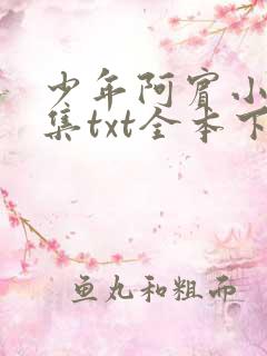 少年阿宾小说全集txt全本下载