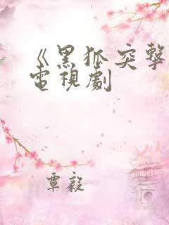 《黑狐突击队》电视剧
