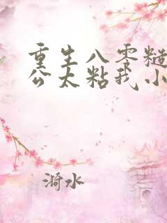 重生八零糙汉老公太粘我小说无弹窗