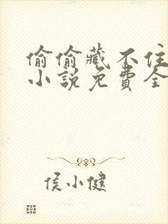 偷偷藏不住竹已小说免费全文阅读