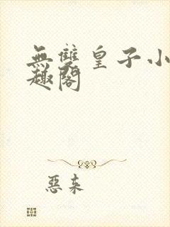 无双皇子小说笔趣阁