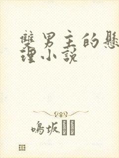 双男主的悬疑推理小说