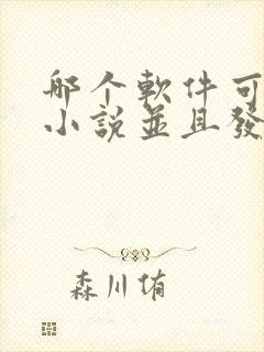 哪个软件可以写小说并且发布赚钱