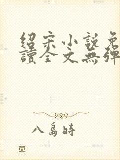 绍宋小说免费阅读全文无弹窗 绍宋小说免费阅读全文无弹窗