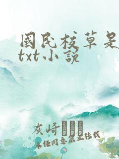国民校草是女生txt小说