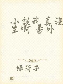 小说我真没想重生啊 番外