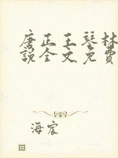 唐正王琴林媛小说全文免费阅读 唐正王琴林媛小说全文免费阅读