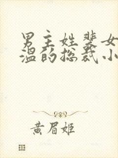 男主姓裴女主姓温的总裁小说