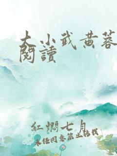 大小武黄蓉免费阅读